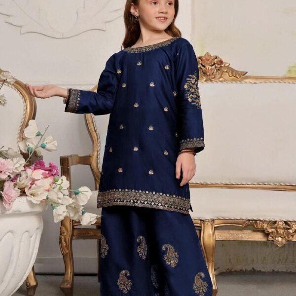 Blue Embroidered Shirt and Trouser Suit for Girls - 2 Pcs Set (Ages 6-12)